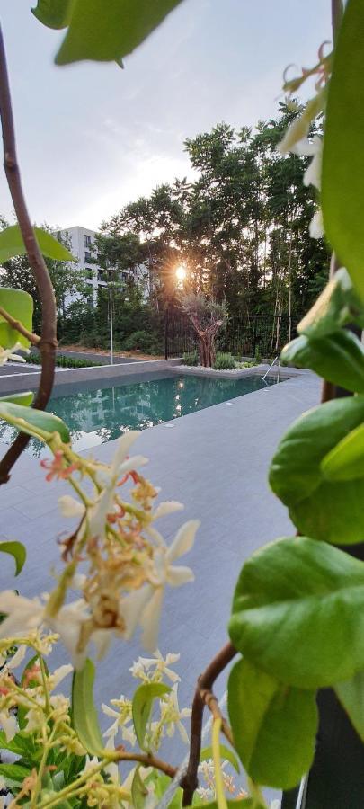 Luxury Apartment Stefanija Teodo Esterno foto